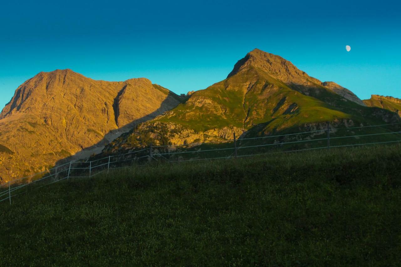 Alpenappartement Bergkönig Warth  Buitenkant foto